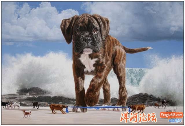 世界巨型犬集锦：乔尔的超现实主义作品_clip_image003.jpg