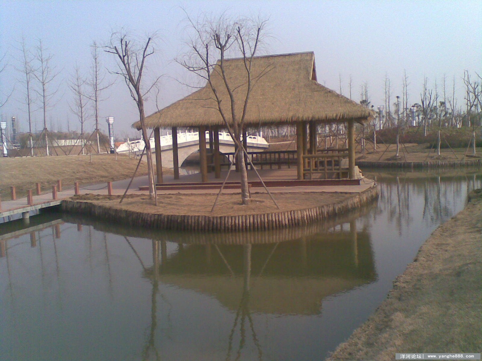 20130129_004.jpg